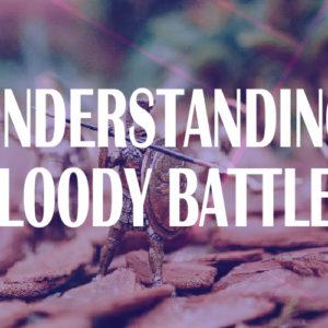 understanding bloody battles image