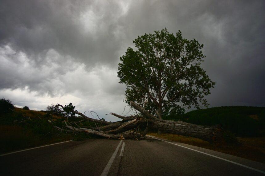 Road blocks of life Road blocks of life