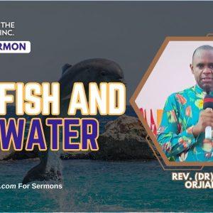 Fish and water sermon image the fish and the water sermon img