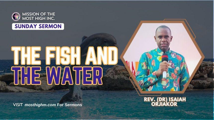 the fish and the water sermon img