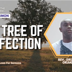 the tree of perfection sermon