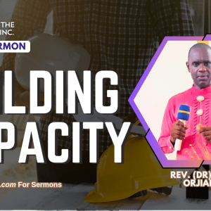 Building Capacity