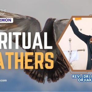 spiritual feathers are important Spiritual Feathers