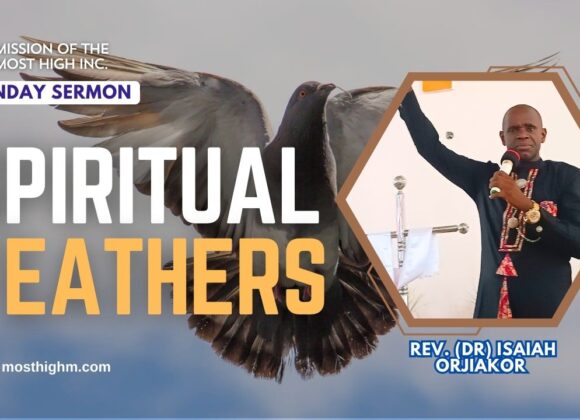 spiritual feathers are important Spiritual Feathers