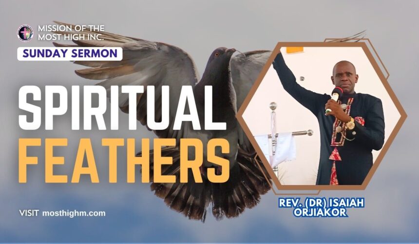 spiritual feathers are important Spiritual Feathers